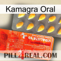 Kamagra Oral new01